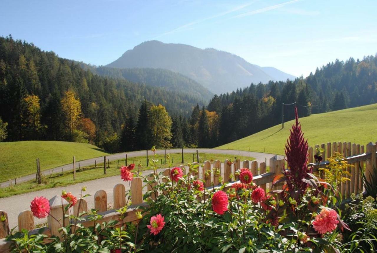 Familienbauernhof Glockriegl Villa ลุนซ์ อัม ซี ภายนอก รูปภาพ